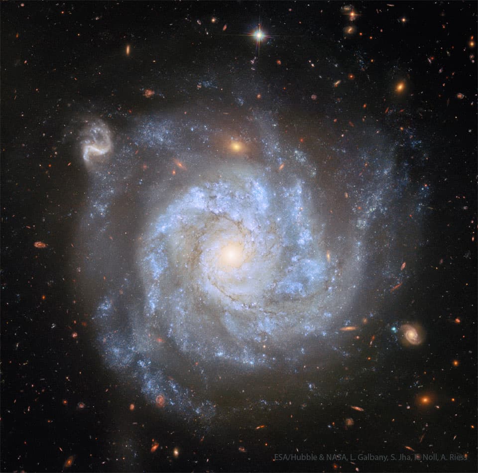 The image of the day for 18/08/2025